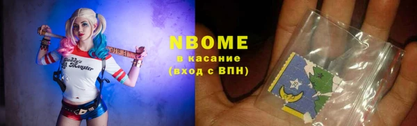 амф Верхний Тагил