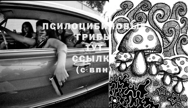 амф Верхний Тагил