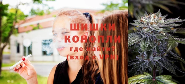 амф Верхний Тагил