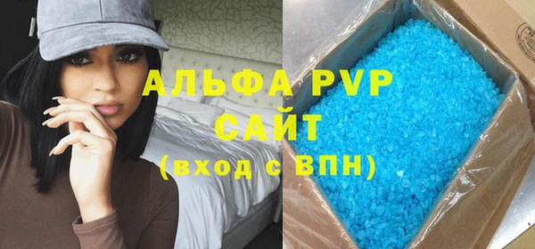 амф Верхний Тагил