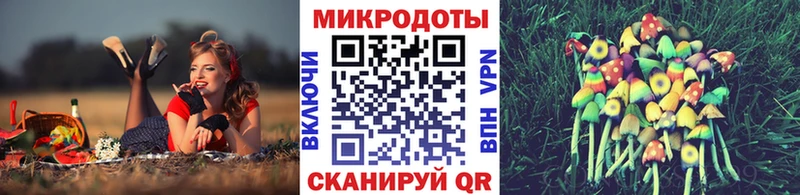 купить наркоту  Уссурийск  Галлюциногенные грибы Psilocybine cubensis 